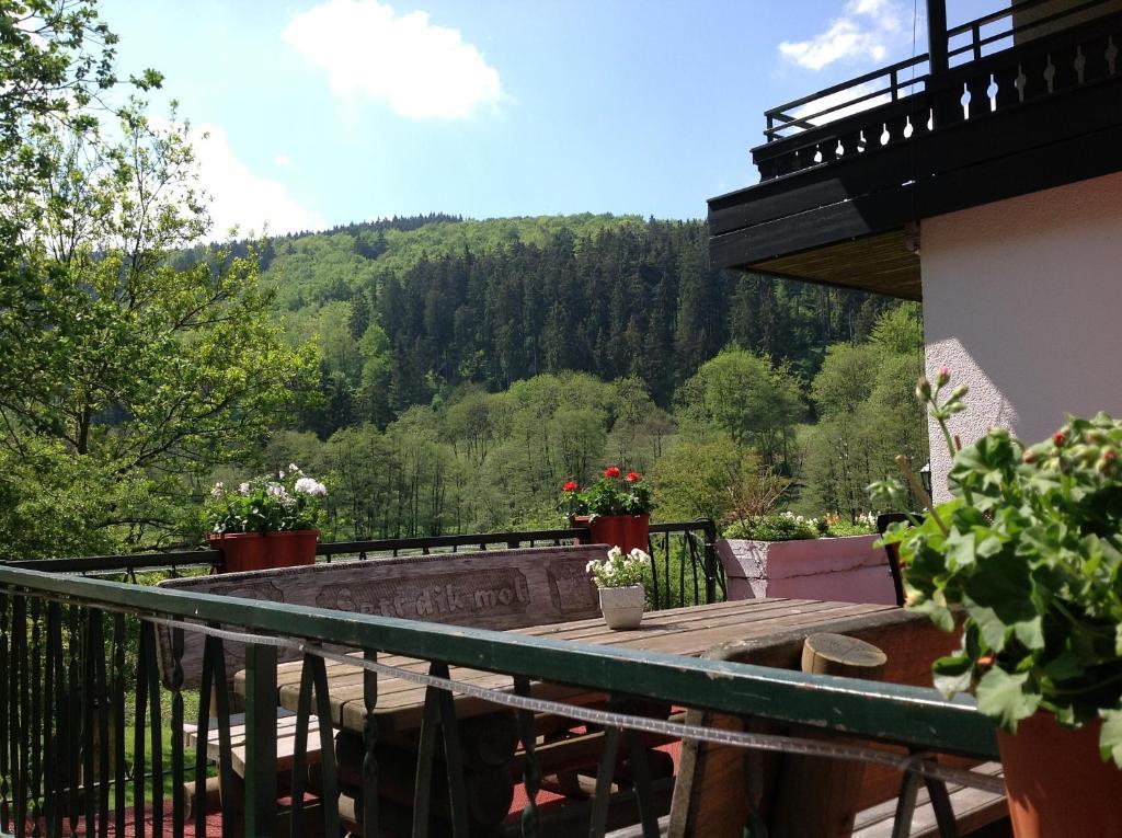 Hotel-Pension Zum Paradies Willingen  Exterior photo